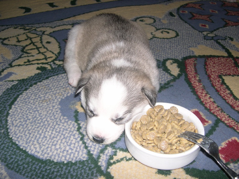 on a faim !